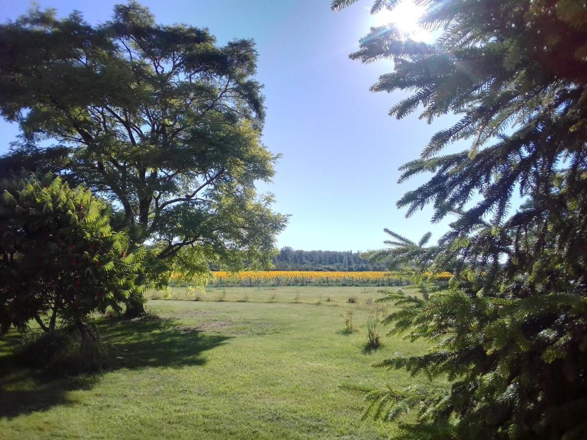 Вилла Au Repos Des Elfes Braye-sous-Faye Экстерьер фото